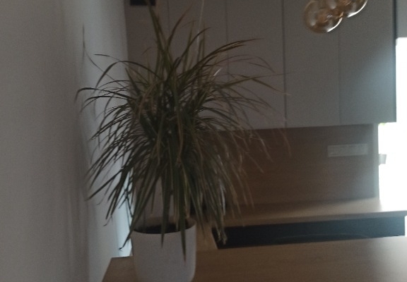 Ogłoszenie - meble nie z tej palety. Zdjęcie 3