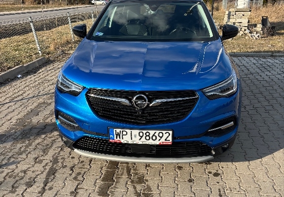 Ogłoszenie - Opel Grandland X 1.6 Elite S&S 120KM Diesel. Zdjęcie 8