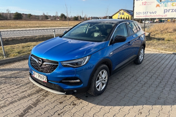 Ogłoszenie - Opel Grandland X 1.6 Elite S&S 120KM Diesel. Zdjęcie 9
