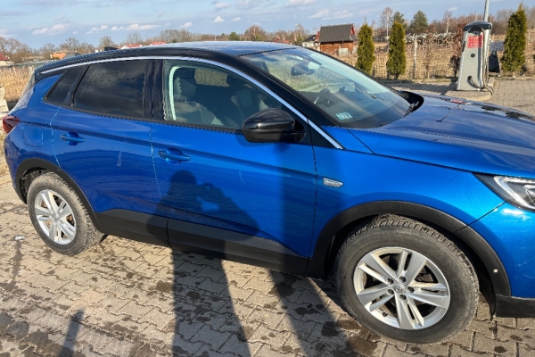 Ogłoszenie - Opel Grandland X 1.6 Elite S&S 120KM Diesel. Zdjęcie 6