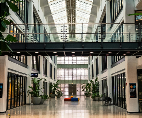 Ogłoszenie - Perfekcyjne sprzatanie biura z EKOBRIS – Twój komfort, nasza praca!. Zdjęcie 6