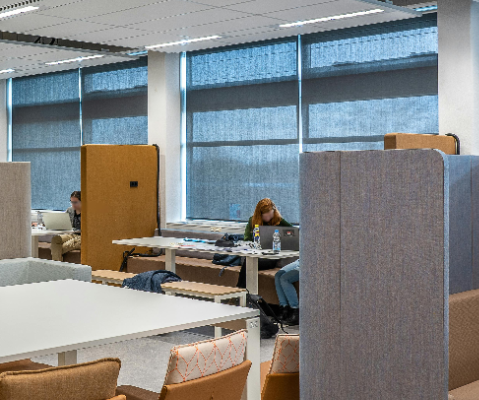 Ogłoszenie - Czystość w Twojej firmie – nasza priorytetowa sprawa!. Zdjęcie 8