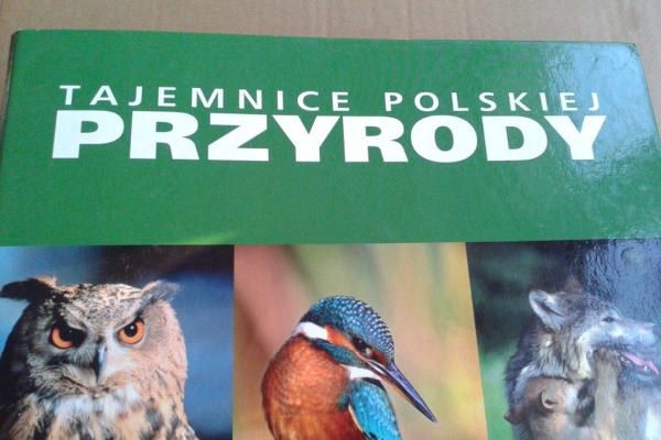 Ogłoszenie - TAJEMNICE POLSKIEJ PRZYRODY. Zdjęcie 1