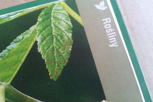 Ogłoszenie - TAJEMNICE POLSKIEJ PRZYRODY. Zdjęcie 5