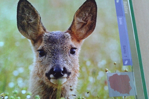 Ogłoszenie - TAJEMNICE POLSKIEJ PRZYRODY. Zdjęcie 3