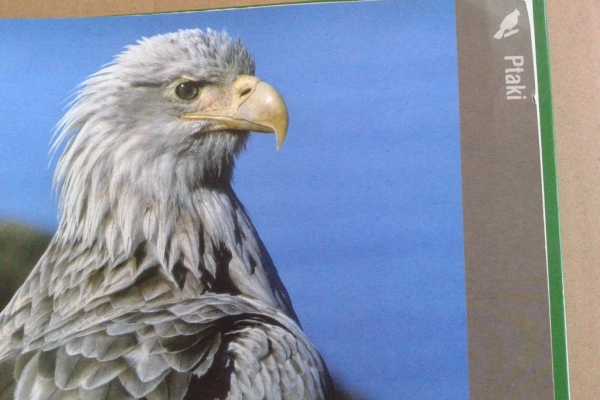 Ogłoszenie - TAJEMNICE POLSKIEJ PRZYRODY. Zdjęcie 2