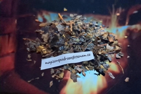 Ogłoszenie - Changa - Mini Blast. Zdjęcie 1