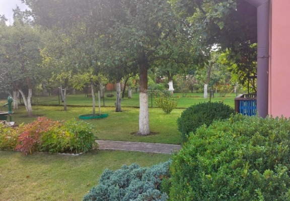 Ogłoszenie - Działka ROD na Rządzu. Zdjęcie 2