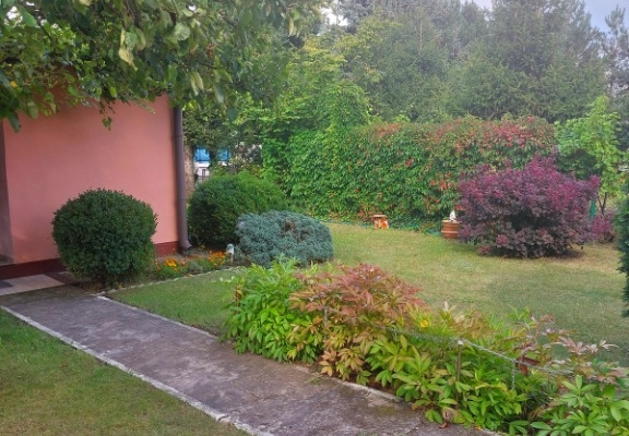 Ogłoszenie - Działka ROD na Rządzu. Zdjęcie 3