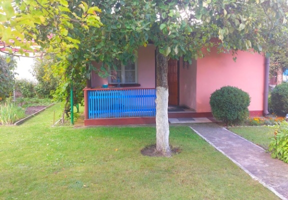 Ogłoszenie - Działka ROD na Rządzu. Zdjęcie 4