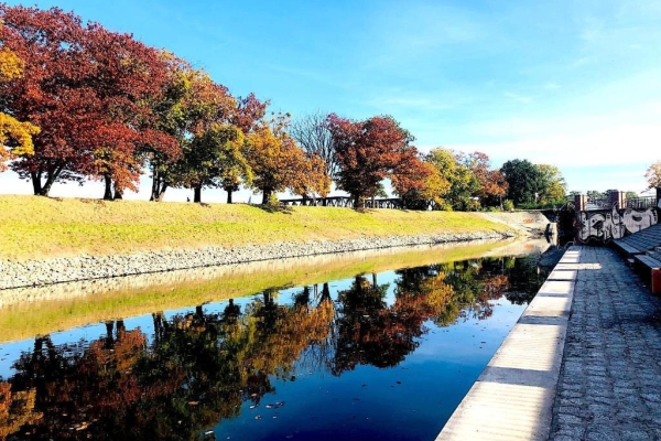 Ogłoszenie - 2pok, 48met, al. Marcina Kromera PIWNICA/PARKING (Wrocław). Zdjęcie 1