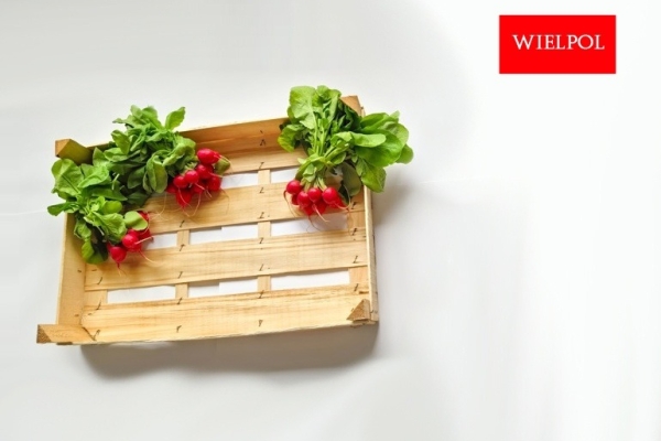 Ogłoszenie - Opakowania do rzodkiewki / Skrzynki do rzodkiewki. Zdjęcie 3