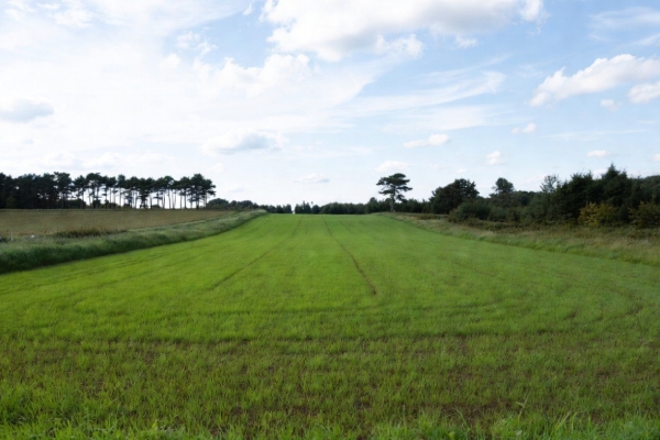 Ogłoszenie - Działki inwest 1,6 km do Zatoka Pucka Hel. Zdjęcie 5