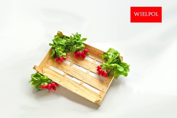 Ogłoszenie - Opakowania do rzodkiewki / Skrzynki do rzodkiewki. Zdjęcie 1