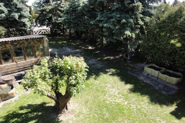 Ogłoszenie - Dom 130 m² w miejscowości Dąbie k/ Łukowa. Zdjęcie 10