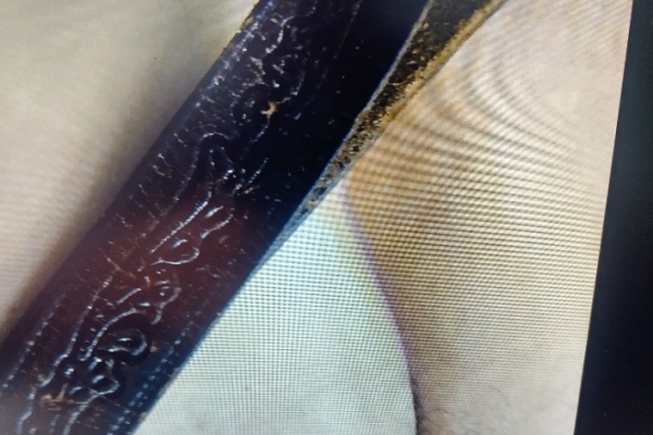 Ogłoszenie - sztarszy pozna młodego chłopaka  lubiącego dominacje i spanking. Zdjęcie 2