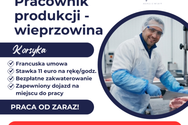 Ogłoszenie - Praca na słonecznej Korsyce!. Zdjęcie 1