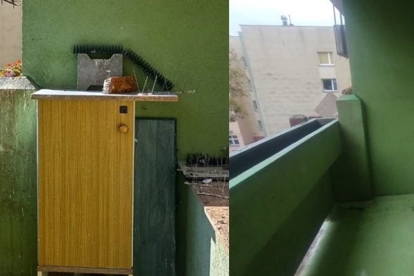 Ogłoszenie - Usunięcie starego gniazda po ptakach, tel. 504-746-203 gołębiach, cena, Wrocław, Oleśnica, Świdnica, Legnica, Włabrzych. Zdjęcie 1