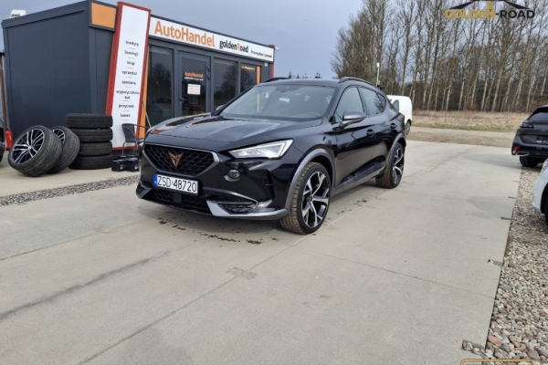 Ogłoszenie - CUPRA FORMENTOR   1,5 tsi 150KM navi kamera alu grz.kierownica digital zarejestrowany. Zdjęcie 1