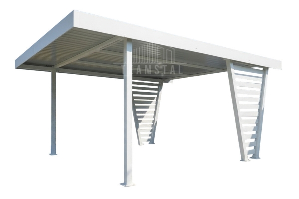 Ogłoszenie - Carport V PREMIUM 4x5m - Wypełnienie panelami - Wiata samochodowa - biały TS1269. Zdjęcie 1