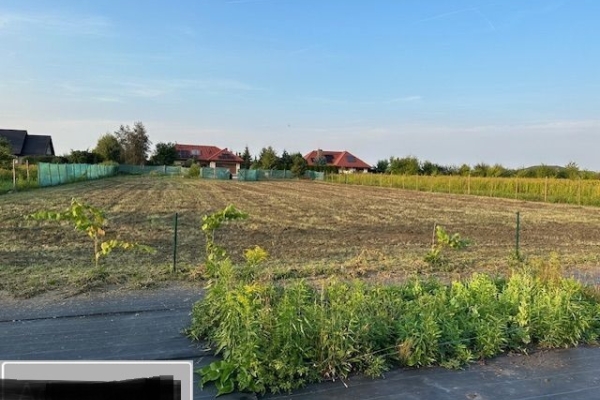 Ogłoszenie - Działka budowlana (3000 m2) MEDIA (Żórawina). Zdjęcie 2