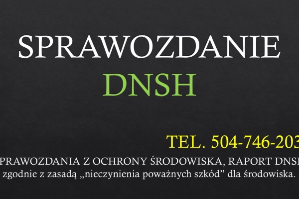Ogłoszenie - Raportowanie DNSH, audyt, konsultacje, tel. 504-746-203, cennik, Wymogi, napisanie raportu.. Zdjęcie 1