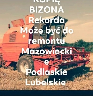 Ogłoszenie - Kupię bizon rekord do 25tys. Zdjęcie 1