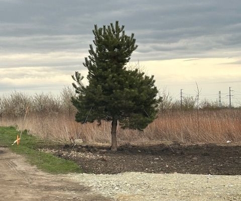 Ogłoszenie - Działka budowlana (3000 m2) MEDIA (Żórawina). Zdjęcie 4