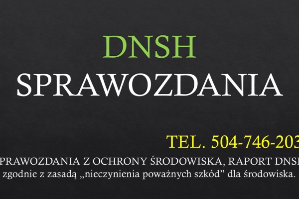 Ogłoszenie - DNSH, szkolenie indywidulane i pomoc, tel. 504-746-203. Zdjęcie 1