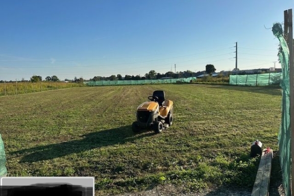Ogłoszenie - Działka budowlana (3000 m2) MEDIA (Żórawina). Zdjęcie 6