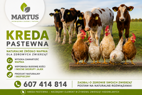 Ogłoszenie - KREDA PASTEWNA. Zdjęcie 1