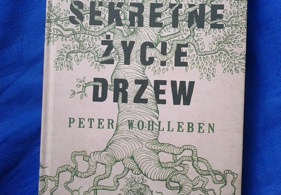 Ogłoszenie - SEKRETNE ŻYCIE DRZEW PETER WOHLLEBEN 602 423 931. Zdjęcie 1