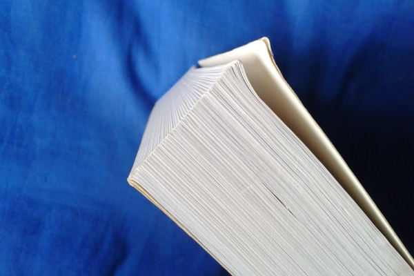 Ogłoszenie - PODRĘCZNIK DLA AKTORÓW  STEPHEN BOOK 602 423 931. Zdjęcie 2