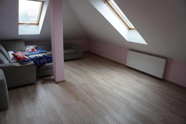 Ogłoszenie - Udział 1/2 w nieruchomości zab. domem 187,51m2. Zdjęcie 7