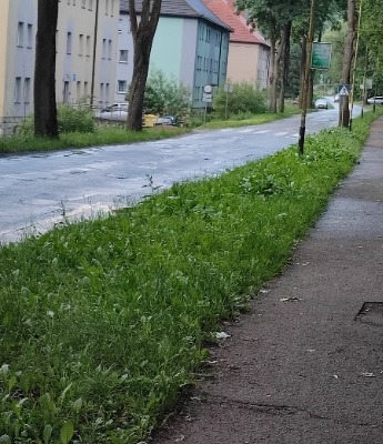 Ogłoszenie - kawalerka. Zdjęcie 9