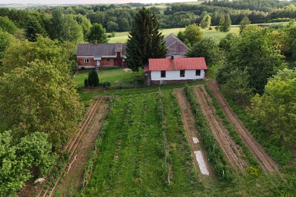 Ogłoszenie - 🌲 Nie kupujesz domu. Kupujesz własny kawałek świata | 2,8 ha | Kondraty | 229 000 zł 🏡✨. Zdjęcie 7