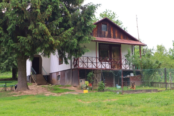 Ogłoszenie - 🌲 Nie kupujesz domu. Kupujesz własny kawałek świata | 2,8 ha | Kondraty | 229 000 zł 🏡✨. Zdjęcie 5