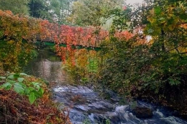 Ogłoszenie - Spływy kajakowe rzeką Wel - Pole namiotowe z zapleczem - Agroturystyka. Zdjęcie 8
