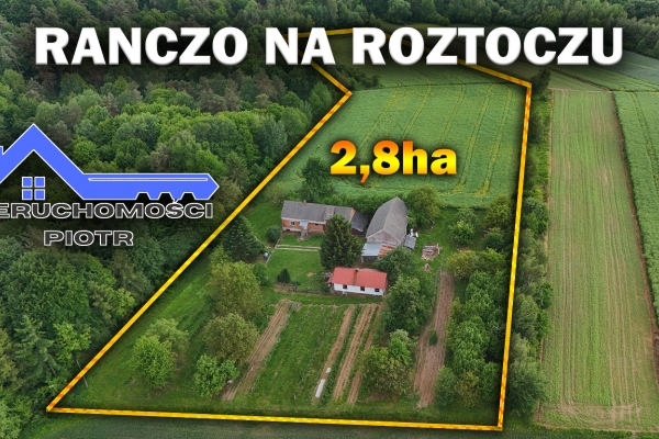 Ogłoszenie - 🌲 Nie kupujesz domu. Kupujesz własny kawałek świata | 2,8 ha | Kondraty | 229 000 zł 🏡✨. Zdjęcie 1