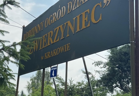 Ogłoszenie - Działka rekreacyjna. Zdjęcie 2