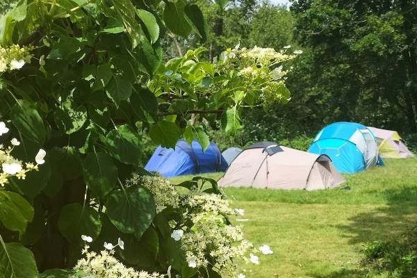 Ogłoszenie - Spływy kajakowe rzeką Wel - Pole namiotowe z zapleczem - Agroturystyka. Zdjęcie 5
