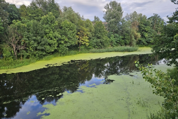 Ogłoszenie - 2pok, 54met, Okolice Niskich Łąk PARKING (Wrocław). Zdjęcie 10