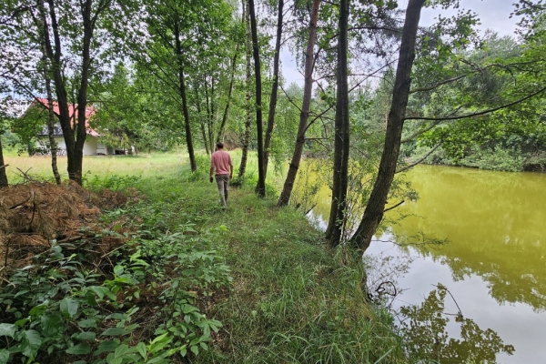 Ogłoszenie - Działka budowlana (6000 m2) okolice Twardogóry JEZIORO/LAS. Zdjęcie 3