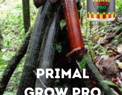 Ogłoszenie - Testimony About Herbal Penis Enlargement Products In St. Clement In Missouri Call ☏ +27710732372. Zdjęcie 1