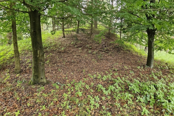 Ogłoszenie - Działka budowlana (6000 m2) okolice Twardogóry JEZIORO/LAS. Zdjęcie 5