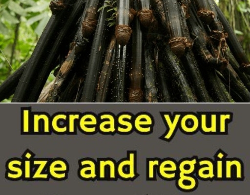 Ogłoszenie - Testimony About Herbal Penis Enlargement Products In St. Clement In Missouri Call ☏ +27710732372. Zdjęcie 4