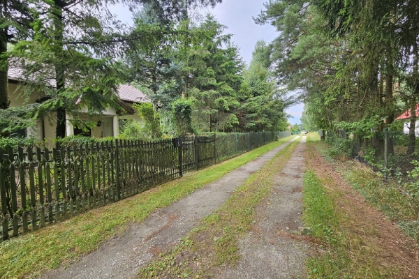 Ogłoszenie - Działka budowlana (6000 m2) okolice Twardogóry JEZIORO/LAS. Zdjęcie 8