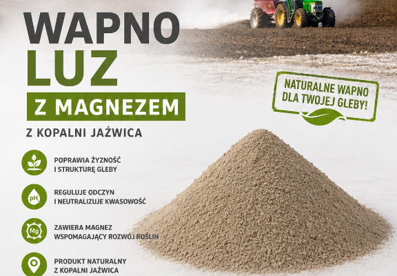 Ogłoszenie - Wapno węglanowe z magnezem z Kopalni Jaźwica. Zdjęcie 1