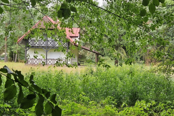 Ogłoszenie - Działka budowlana (6000 m2) okolice Twardogóry JEZIORO/LAS. Zdjęcie 9