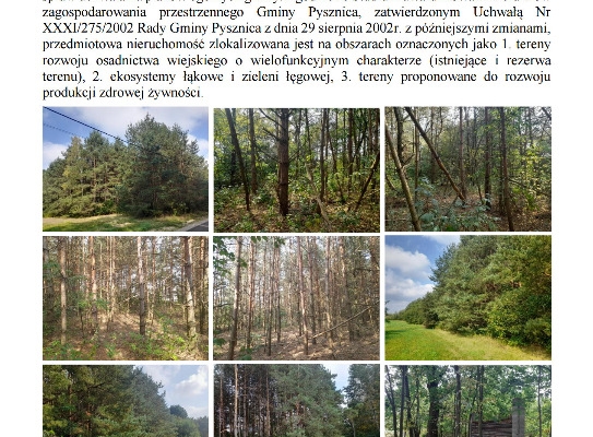 Ogłoszenie - Syndyk sprzeda udziały w grunatach Jastkowice - Stalowa Wola. Zdjęcie 2